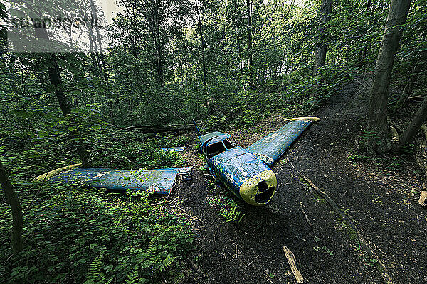 Flugzeugunglück in einem Wald.