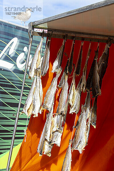 Europa  Belgien  Westflandern. Ostende. Hafen. Geschäfte  die Fisch zum Essen oder Mitnehmen verkaufen. getrockneter Kabeljau