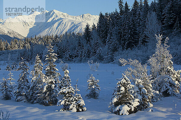 Malerischer Blick auf die Chugach Mountains und die schneebedeckte Landschaft  Südzentralalaska  Winter