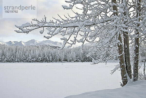 Blick auf den schneebedeckten Cheney Lake an einem Winternachmittag in East Anchorage mit den Chugach Mountains im Hintergrund  Südzentralalaska