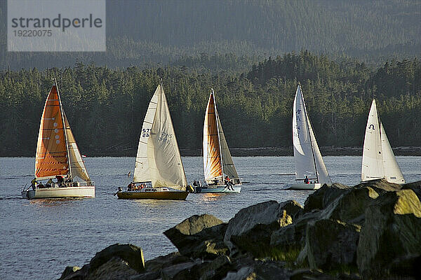 Segelboote konkurrieren im Sommer in der Nähe von Ketchikan  Alaska