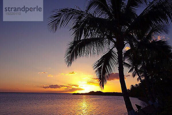 Hawaii  Molokai  leuchtend roter Sonnenuntergang am Strand  Palmensilhouette im Vordergrund.