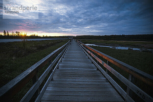 Promenade auf Potter Marsh bei Sonnenuntergang  Alaska  USA; Potter Marsh  Alaska  Vereinigte Staaten von Amerika