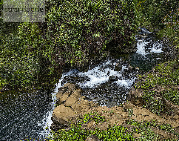 Blick auf einen Wasserfall  der durch die üppige Vegetation entlang der Straße nach Hana fließt  malerische Route; Maui  Hawaii  Vereinigte Staaten von Amerika