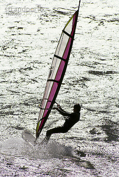 Windsurfer segelt über das Wasser; Oahu  Hawaii  Vereinigte Staaten von Amerika