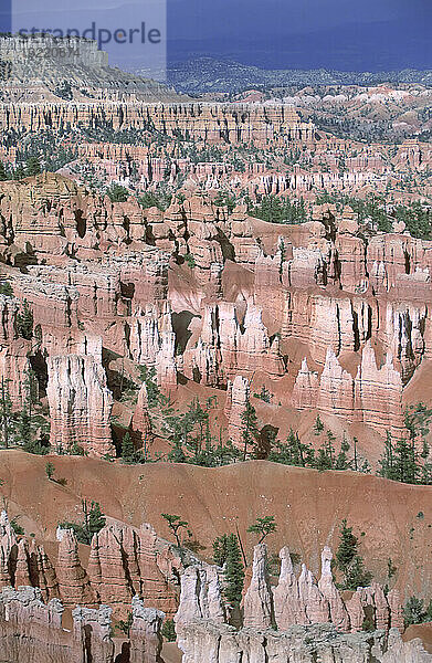 Malerische Aussicht auf den Bryce-Canyon-Nationalpark in Utah  USA; Utah  Vereinigte Staaten von Amerika