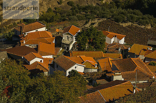 Häuser mit Ziegeldächern über Terrassenfeldern in der Nähe von Chanceleiros im Douro-Flusstal in Portugal; Douro-Flusstal  Portugal