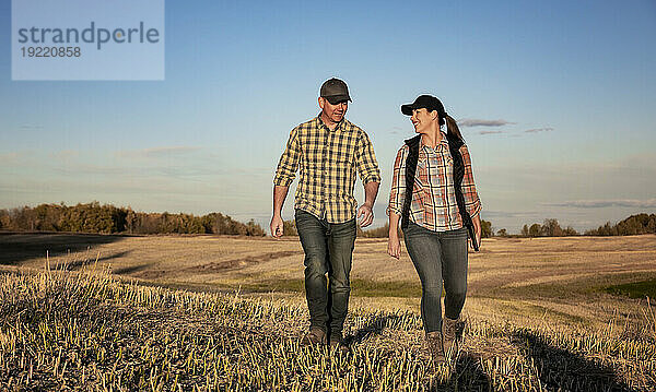 Ein Mann und eine Frau stehen sich gegenüber auf einem Feld und verbringen eine schöne Zeit miteinander  nachdem sie ihre Rapsernte im Herbst hinter sich gebracht haben. Alcomdale  Alberta  Kanada