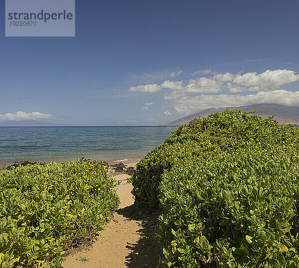 Abgeschiedener  sandiger Weg durch das grüne Laub zum Strand entlang der Küste des Pazifischen Ozeans mit Blick auf die Berge und das Meer und einem blauen Himmel; Wailea  Maui  Hawaii  Vereinigte Staaten von Amerika