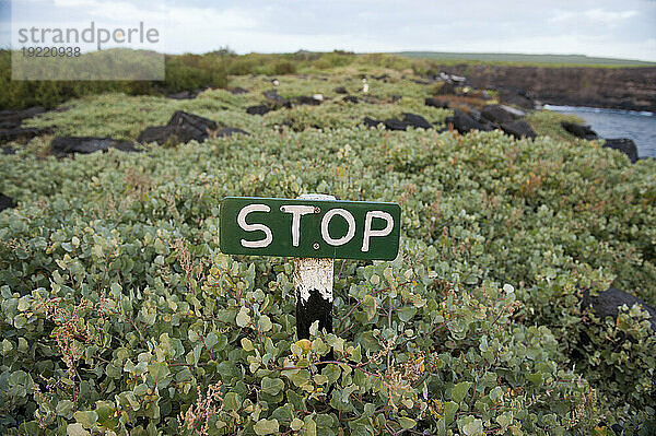„Stopp“-Schild schützt Pflanzen und Wildtiere auf der Insel Espanola im Galapagos-Nationalpark; Insel Espanola  Galapagos-Inseln  Ecuador