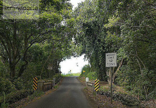 Blick durch eine schmale Straße über eine kleine Brücke durch den Wald auf der Straße nach Hana  malerische Route; Maui  Hawaii  Vereinigte Staaten von Amerika