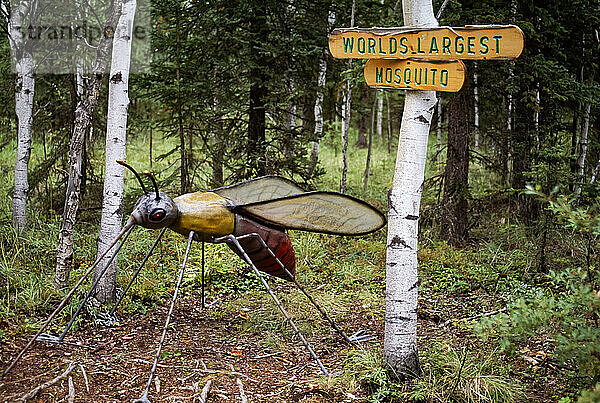 Zeichen und Skulptur der größten Mücke der Welt  entlang des Alaska Highway  Alaska  USA; Alaska  Vereinigte Staaten von Amerika