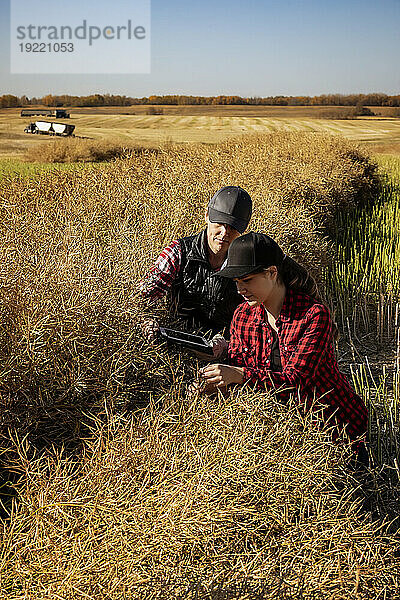 Eine Bäuerin sitzt auf den Feldern und bringt ihrem Lehrling moderne Anbautechniken für Rapspflanzen bei  die drahtlose Technologien und landwirtschaftliche Software nutzen. Alcomdale  Alberta  Kanada