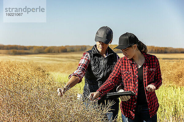 Eine Bäuerin steht auf den Feldern und bringt ihrem Lehrling moderne Anbautechniken für Rapsanbau unter Einsatz von drahtlosen Technologien und landwirtschaftlicher Software bei. Alcomdale  Alberta  Kanada