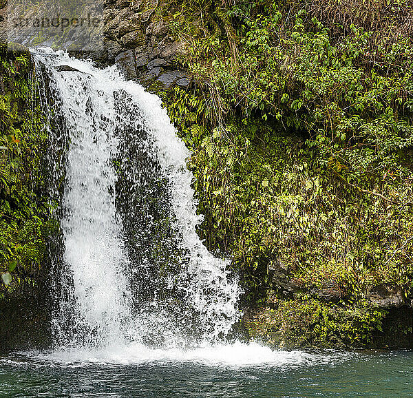 Nahaufnahme eines schaumigen  kaskadierenden Wasserfalls entlang der Straße nach Hana  malerische Route; Maui  Hawaii  Vereinigte Staaten von Amerika