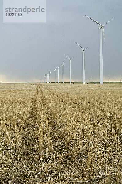 Windturbinen säumen den Rand eines landwirtschaftlichen Feldes im Südwesten von Kansas; Liberal  Kansas  Vereinigte Staaten von Amerika