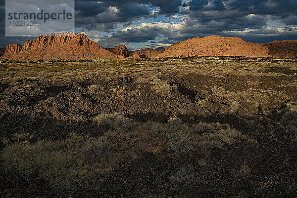 Wanderweg durch den Snow Canyon  hinter dem Red Mountain Spa  mit der Snow Canyon Mountain Range im Hintergrund im Red Cliffs Desert Reserve rund um St. George Town mit roten Klippen und dunklen Wolken am blauen Himmel; St. George  Utah  Vereinigte Staaten von Amerika