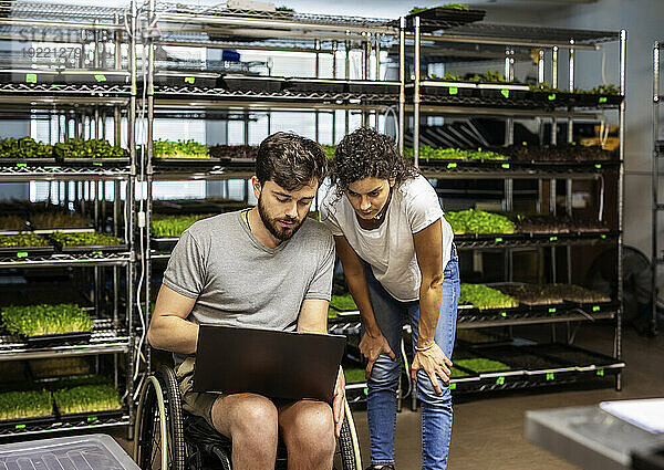 Woman with man in a wheelchair working together on a laptop computer in his Microgreens business; Edmonton  Alberta  Canada