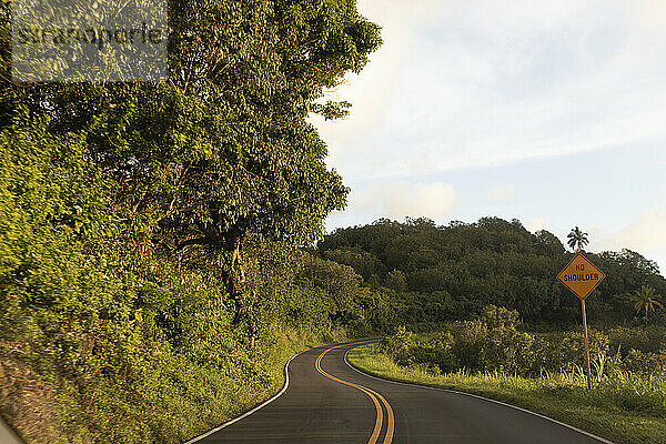 Schmale  kurvenreiche Straße mit Verkehrszeichen durch den bewaldeten Berghang in der Dämmerung auf der Straße nach Hana  malerische Route; Maui  Hawaii  Vereinigte Staaten von Amerika