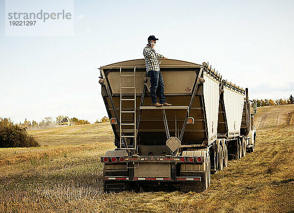 Bauer steht auf dem Rücken eines Getreidetransporters und kontrolliert seine Ladung Raps  während er während der Herbsternte telefoniert; Alcomdale  Alberta  Kanada