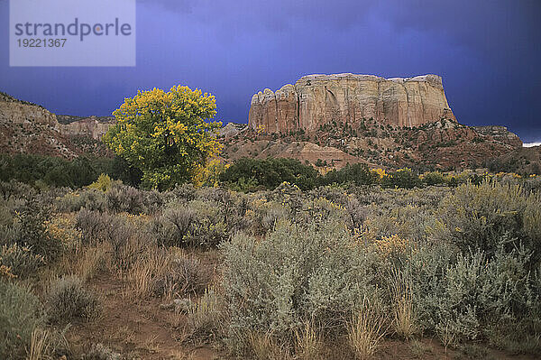 Butte- und Salbeipflanzen in der Wüste von New Mexico  USA  ein Butte  der oft von Georgia O'Keeffe auf ihrer Ghost Ranch gemalt wurde; Abiquiu  New Mexico  Vereinigte Staaten von Amerika