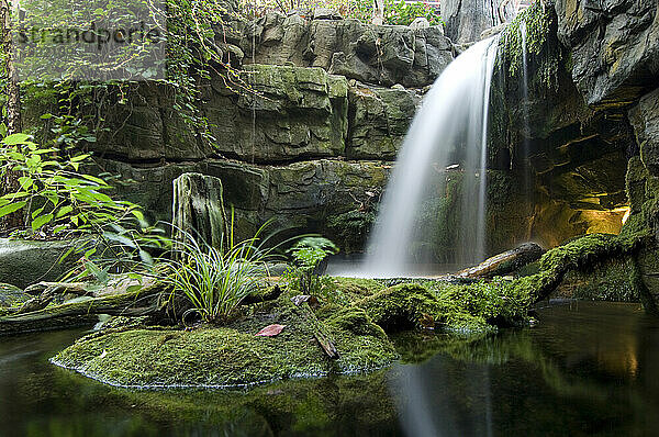 Aquarium-Wasserfall und Laub; Chattanooga  Tennessee  Vereinigte Staaten von Amerika