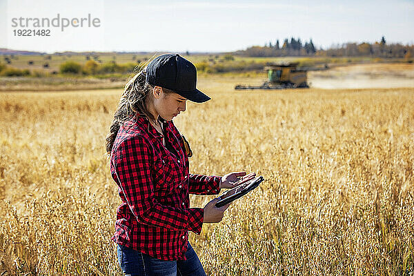 Eine junge Bäuerin steht zur Erntezeit auf einem Feld und inspiziert das Getreide mithilfe modernster landwirtschaftlicher Softwaretechnologien auf einem Pad  während im Hintergrund ein Mähdrescher arbeitet. Alcomdale  Alberta  Kanada