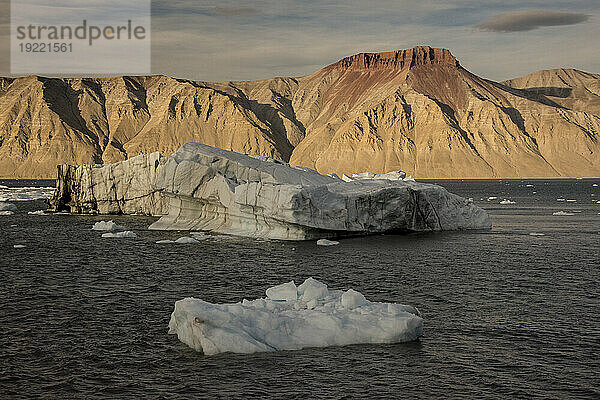 Eisberge und Eisbären schwimmen im eisigen  grauen Wasser des grönländischen Kaiser-Franz-Joseph-Fjords mit schlammbedeckten Bergklippen im Hintergrund; Ostgrönland  Grönland