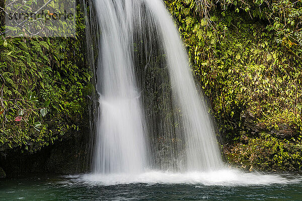 Nahaufnahme eines Wasserfalls entlang der Straße nach Hana  malerische Route; Maui  Hawaii  Vereinigte Staaten von Amerika