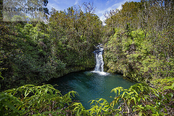 Üppige Vegetation und kaskadierender Wasserfall mit türkisfarbenem Pool entlang der Straße nach Hana  malerische Route; Maui  Hawaii  Vereinigte Staaten von Amerika