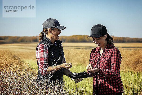 Eine Bäuerin  die auf den Feldern steht und es genießt  ihrem Lehrling moderne Anbautechniken für den Rapsanbau unter Einsatz von drahtlosen Technologien und landwirtschaftlicher Software beizubringen; Alcomdale  Alberta  Kanada