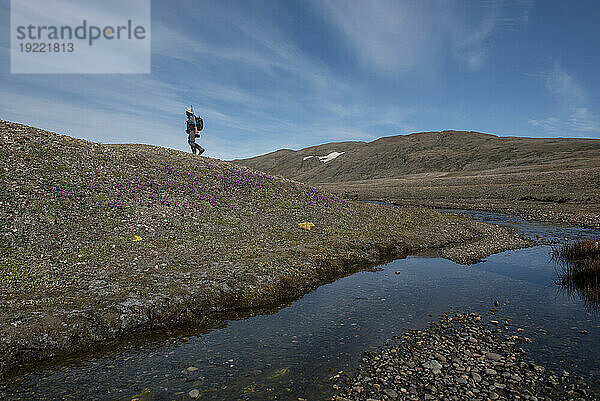 Wanderer-Trekking entlang der hügeligen Tundra in der Nähe eines Baches in Grönlands Myggbukta-Region; Ostgrönland  Grönland