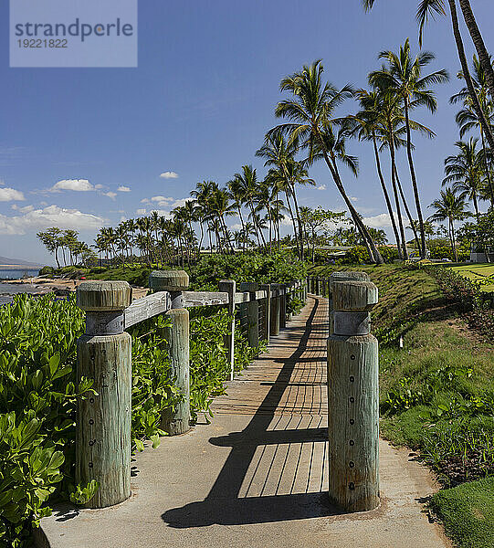 Einladender Gehweg entlang der Strandpromenade im Wailea Resort Area  gesäumt von Palmen vor blauem Himmel und Meerblick auf den Pazifik; Wailea  Maui  Hawaii  Vereinigte Staaten von Amerika