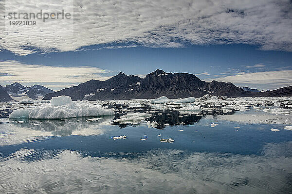 Zerklüftete Berggipfel und weiße Wolken spiegeln sich im ruhigen Wasser des Nansen-Fjords  im Vordergrund schwimmen Eisberge und Eisbären an der Stelle  an der der Gletscher des Fjords ins Wasser eintritt; Ostgrönland  Grönland