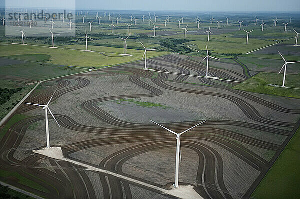 Windkraftanlagen im Horse Hollow Wind Energy Center in Texas  USA; Abilene  Texas  Vereinigte Staaten von Amerika