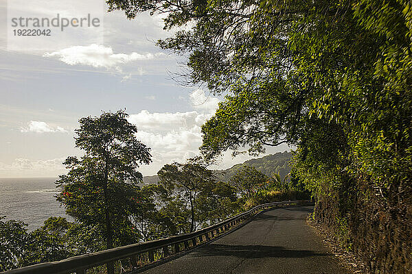 Schmale Straße entlang der bewaldeten Berge mit atemberaubendem Blick auf das Meer auf der Straße nach Hana  malerische Route; Maui  Hawaii  Vereinigte Staaten von Amerika