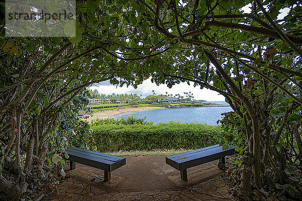 Schattige Sitzecke mit Bänken und Blick durch die Bäume auf das Kapalua Resort in West Maui; Maui  Hawaii  Vereinigte Staaten von Amerika