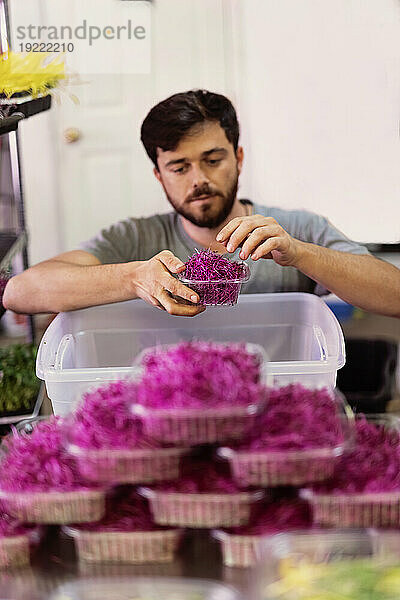 Mann im Rollstuhl portioniert frische Microgreens auf einem städtischen Bauernhof; Edmonton  Alberta  Kanada