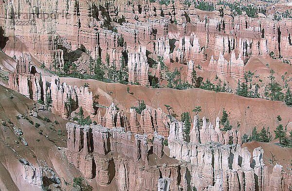 Zerklüftete Landschaftsformen des Bryce-Canyon-Nationalparks in Utah  USA; Utah  Vereinigte Staaten von Amerika