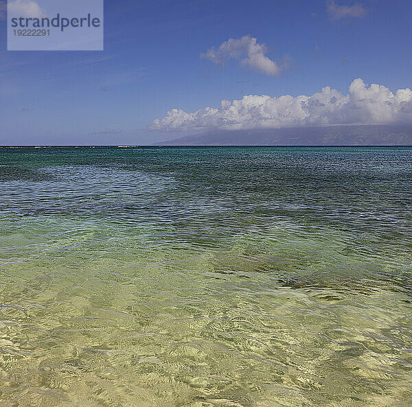 Atemberaubender Blick auf das klare  transparente Wasser des Pazifischen Ozeans mit verschiedenen Grün- und Türkistönen unter blauem Himmel; Kapalua Beach  Maui  Hawaii  Vereinigte Staaten von Amerika