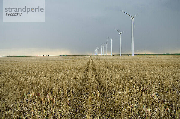 Wind turbines line the edge of a farm field in southwest Kansas; Liberal  Kansas  United States of America