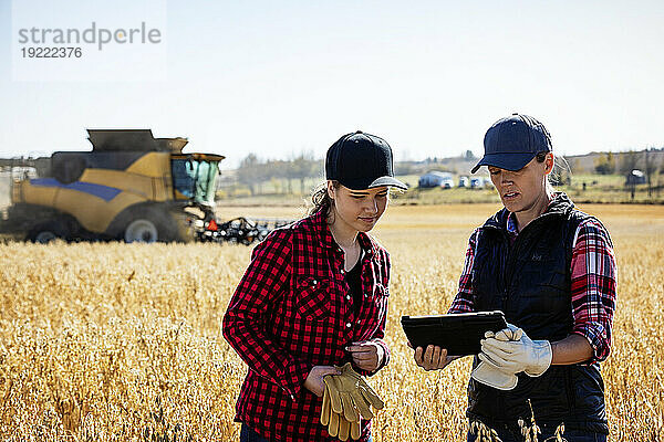 Eine reife Bäuerin  die auf einem Feld steht und mit einer jungen Frau zur Erntezeit zusammenarbeitet  wobei sie fortschrittliche landwirtschaftliche Software auf einem Pad verwendet  während im Hintergrund ein Mähdrescher arbeitet; Alcomdale  Alberta  Kanada