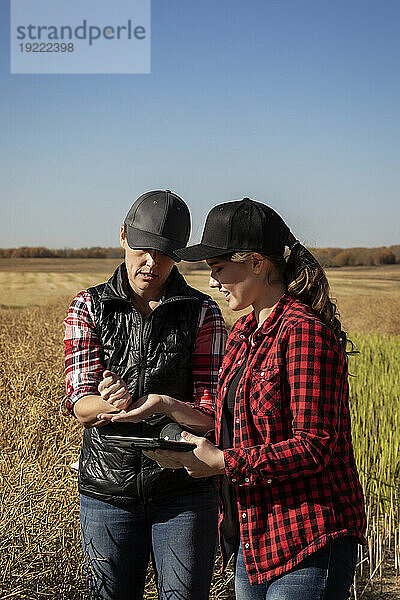 Eine Bäuerin steht auf den Feldern und bringt ihrem Lehrling moderne Anbautechniken für Rapsanbau unter Einsatz von drahtlosen Technologien und landwirtschaftlicher Software bei. Alcomdale  Alberta  Kanada