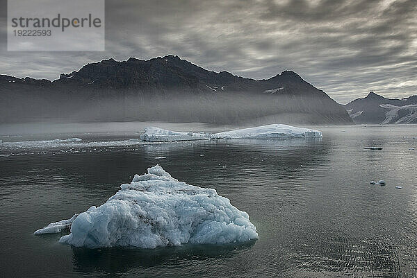 Eisberge schwimmen im Gletscherwasser mit nebliger Atmosphäre im Nansen-Fjord und die Silhouette des Bergrückens im Hintergrund unter einem grauen  bewölkten Himmel; Ostgrönland  Grönland