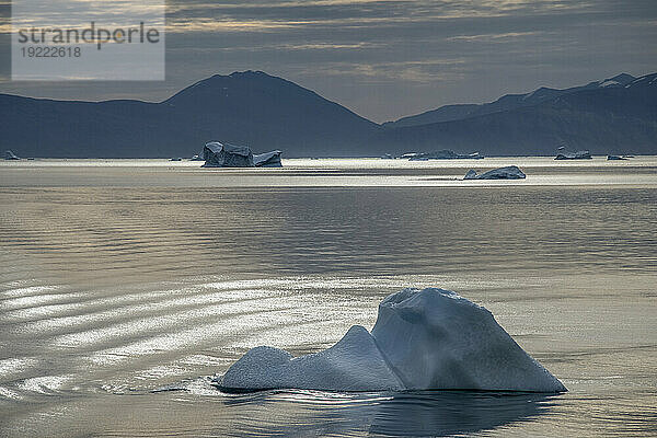 Eisberge schwimmen im ruhigen Wasser des Kong Oscar Fjords mit sonnenbeschienenen Wellen und Silhouetten von Bergen; Ostgrönland  Grönland