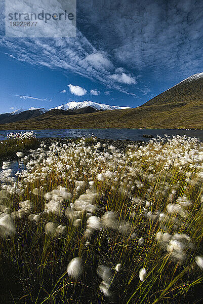 Gates of the Arctic National Park and Preserve in Alaska  USA; Alaska  Vereinigte Staaten von Amerika