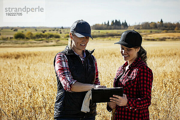 Eine reife Bäuerin steht auf einem Feld und arbeitet zur Erntezeit mit einer jungen Frau zusammen  wobei sie fortschrittliche landwirtschaftliche Softwaretechnologie auf einem Pad nutzt. Alcomdale  Alberta  Kanada