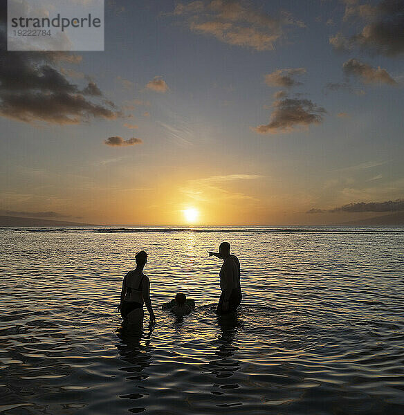 Blick von hinten auf die Silhouette einer Familie  die in der Dämmerung im Wasser steht und die Natur genießt; Baby Beach  Lahaina  Maui  Hawaii  Vereinigte Staaten von Amerika