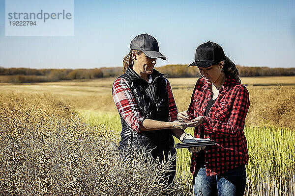 Eine Bäuerin steht auf den Feldern und bringt ihrem Lehrling moderne Anbautechniken für Rapsanbau unter Einsatz von drahtlosen Technologien und landwirtschaftlicher Software bei. Alcomdale  Alberta  Kanada