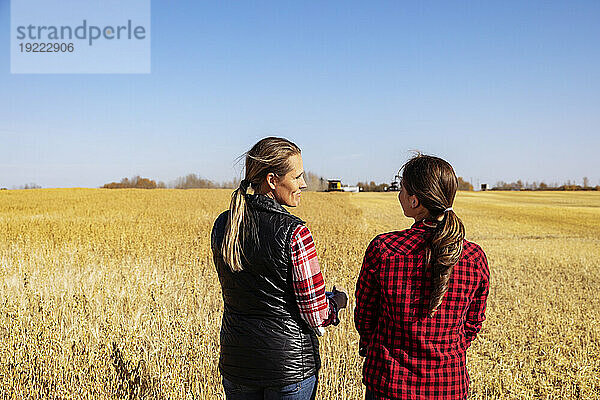 Ein Blick von hinten auf eine reife Bäuerin  die auf einem Feld steht und mit einer jungen Frau zur Erntezeit zusammenarbeitet  während im Hintergrund ein Mähdrescher arbeitet; Alcomdale  Alberta  Kanada